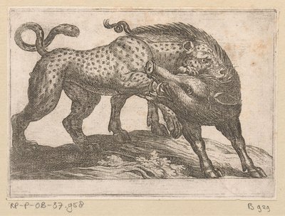 En leopard som kjemper mot et villsvin Kampdyr (serietittel) av Antonio Tempesta