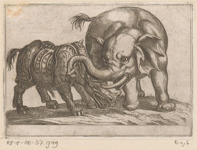 Et neshorn kjemper mot en elefant Kampdyr (serietittel) av Antonio Tempesta