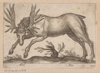 Eland Elg/ Elg (tittel på objekt) Dieren en fablewezens (serietittel) Ny samling av verdens mest nysgjerrige dyr (serietittel) av Antonio Tempesta
