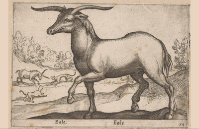 Hest med horn Eale/Eale (tittel på objekt) Dyr og mytiske skapninger (serietittel) Nova raccolta de li animali piu curiosi del mondo (serietittel) av Antonio Tempesta