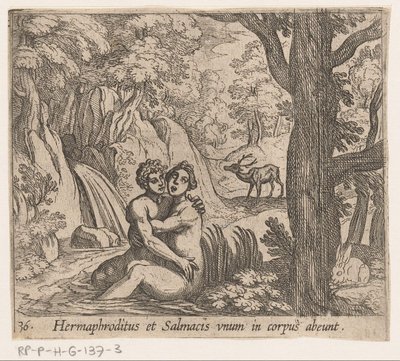 Salmacis og Hermafroditus Hermafroditus og Salmacius forlater som én kropp (tittel på objekt) Metamorfoseon eller transformasjoner (serietittel) Metamorfosen van Ovidius (serietittel) av Antonio Tempesta