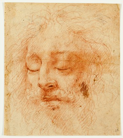 Leder av en sovende mann av Antonio da Correggio