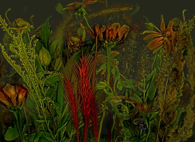 Anderswelt nr. 92, 2019 (bilde) av Antonius Antonius