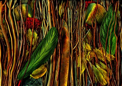 Anderswelten-nr. 79-4. merkelig treverk, 2019 (bilde) av Antonius Antonius