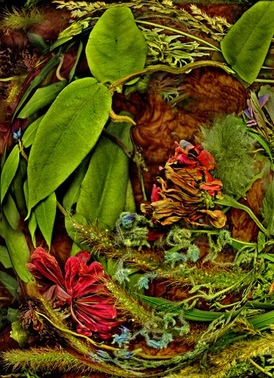 Anderswelten nr. 113 av Antonius Antonius