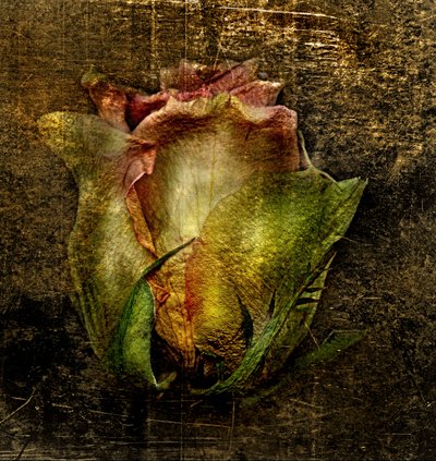 Kunstblomster -55 av Antonius Antonius