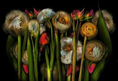 Jordkunstflora nr. 3, 2024 (foto) av Antonius Antonius