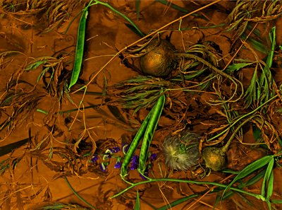 Earthart nr. 2, 2014 (foto) av Antonius Antonius