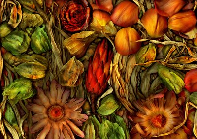 Magisk hage-jungel 3, 2013 (bilde) av Antonius Antonius