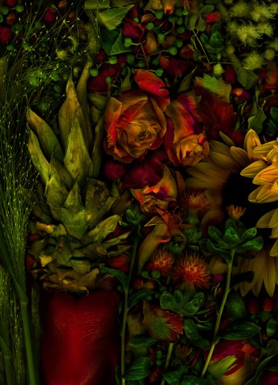 Magisk hage nr. 26, 2011 (bilde) av Antonius Antonius