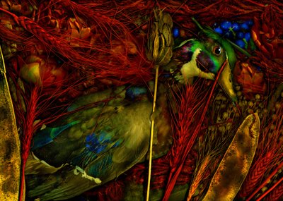 Magisk hage nr. 76, 2012 (bilde) av Antonius Antonius