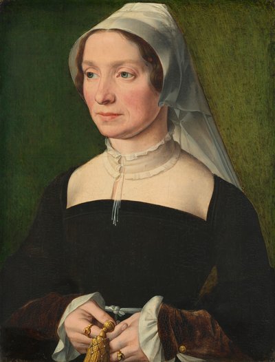 Kone til et medlem av de Hondecoeter-familien, 1543. av Antwerp 16th Century