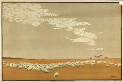 A Flock of Merino Sheep - Australia, fra serien 'Australia's Wealth of Wheat and Wool' (farge litho) av Archibald Bertram Webb