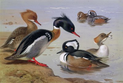 Ender ved en innsjø av Archibald Thorburn