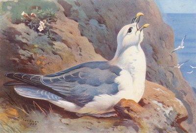  av Archibald Thorburn