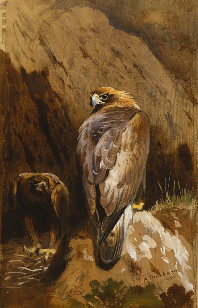 Golden Eagles at their Eyrie av Archibald Thorburn