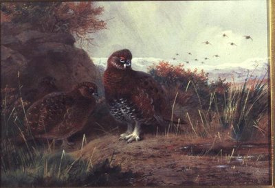Ryper i et vinterlandskap av Archibald Thorburn