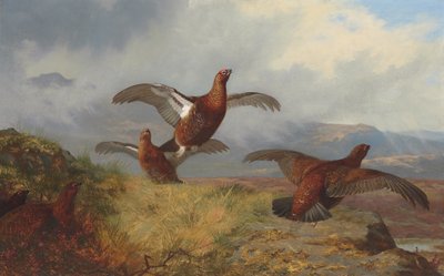 Ryper i flukt av Archibald Thorburn