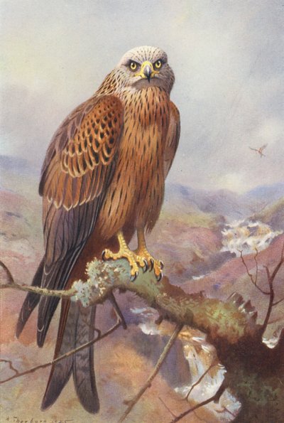  av Archibald Thorburn