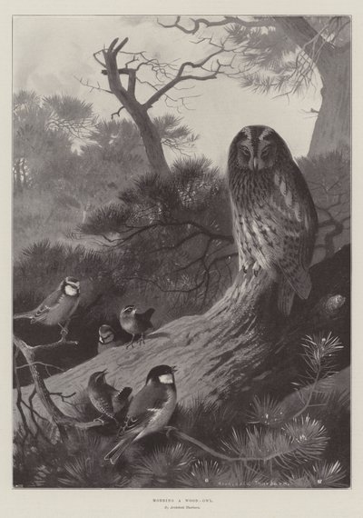 Mobber en skougle av Archibald Thorburn