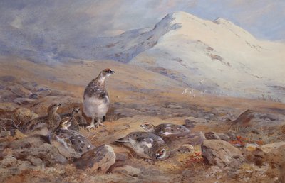 On the Ptarmigan Ground (akvarell) av Archibald Thorburn