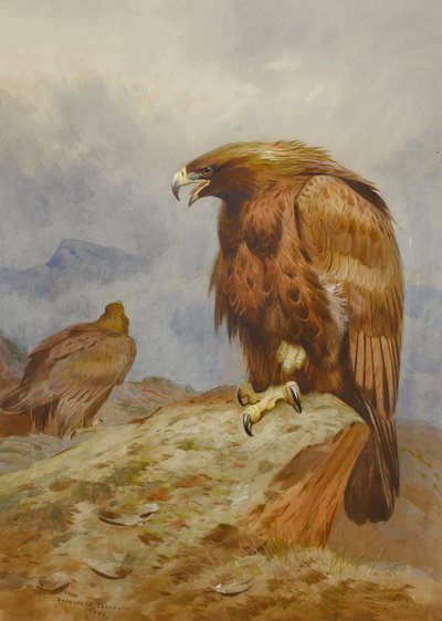 Par kongeørner av Archibald Thorburn