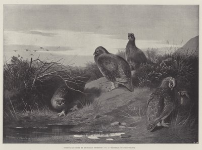 Idrettsfag, Daggry den tolvte av Archibald Thorburn
