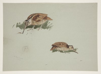 To vignetter av tresneip, ca. 1915 (akvarell og kroppsfarge over blyant på papir) av Archibald Thorburn
