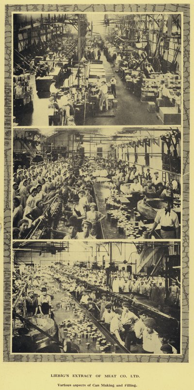 Boksproduksjon og fylling, fabrikk av Liebig Extract of Meat Company, Ltd, Argentina (s/hv-bilde) av Argentinian Photographer