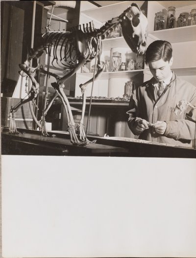  av Arnold Eagle