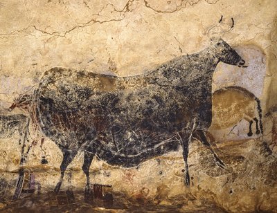 Svart ku. Hulemaleri av Lascaux, ca 16.000-15.000 f.Kr. av Art of the Upper Paleolithic.