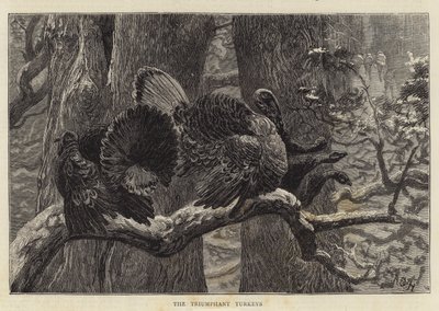 De triumferende kalkunene av Arthur Boyd Houghton