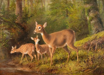 En Doe og to Fawns av Arthur Fitzwilliam Tait