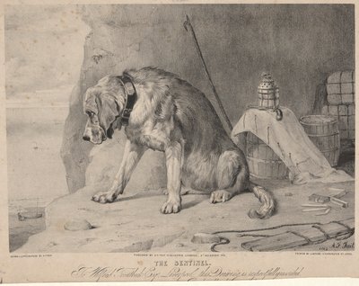 Sentinelen av Arthur Fitzwilliam Tait