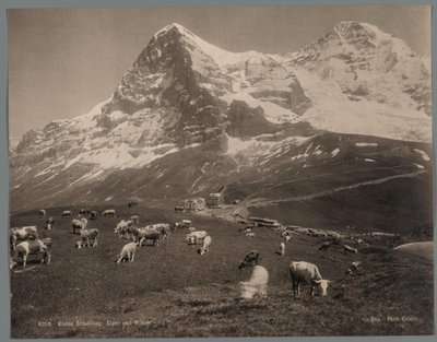 Kyr på Kleine Scheidegg i Berner Oberland, i bakgrunnen Eiger og Mönch Kleine Scheidegg, Eiger und Moench (tittel på objekt) av Arthur Gabler