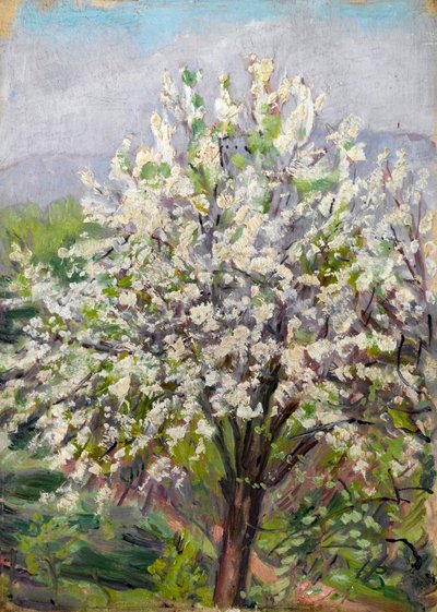 Mandelblomst av Arthur Haythorne Studd