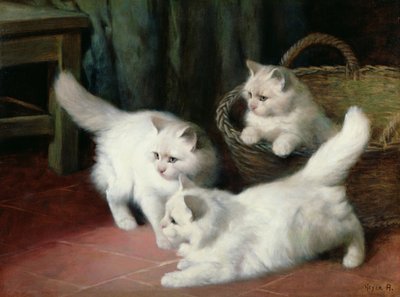 Tre hvite angora kattunger av Arthur Heyer