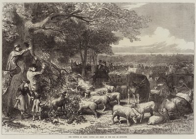 Forsvaret av Paris, storfe og sauer i Bois de Boulogne av Arthur Hopkins