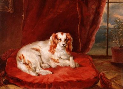 En Cavalier King Charles Spaniel ligger på en rød pute av Arthur J. Stark