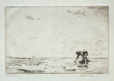 Winkle-velgeren av Arthur John Trevor Briscoe