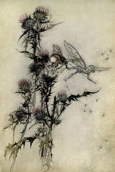 En midtsommernatts drøm av Arthur Rackham