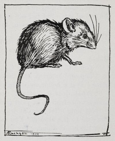 En mus av Arthur Rackham