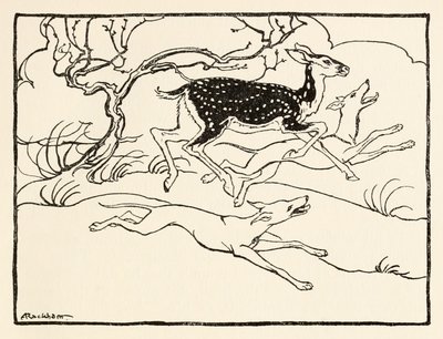 Becfola in her chariot fra The Wooing of Becfola in Irish Fairy TalesSe desc av Arthur Rackham