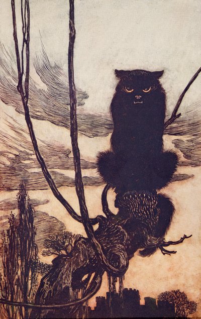 Om dagen gjorde hun seg til en katt?, fra The Fairy Tales of the Brothers Grimm, pub. 1909 av Arthur Rackham