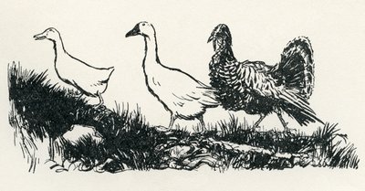 Henny-Penny av Arthur Rackham