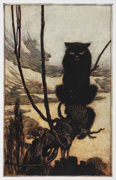Illustrasjon fra Jorinda og Joringel av en svart katt. av Arthur Rackham