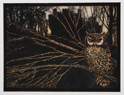 Illustrasjon fra Jorinda og Joringel av en skrikugle. av Arthur Rackham