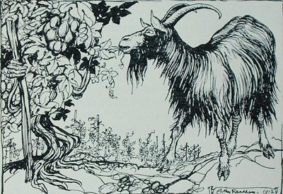 The Goat and the Vine, illustrasjon fra 