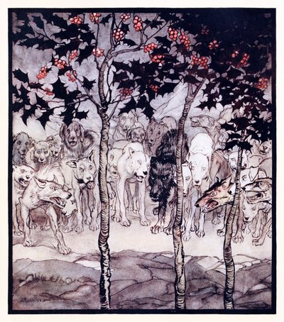 De sto utenfor, fylt av villskap og redsel. fra The Enchanted Cave of Cesh Corran i Irish Fairy Tales av Arthur Rackham