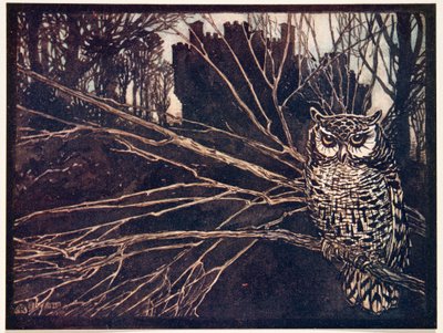 ? eller en skrikugle.., fra The Fairy Tales of the Brothers Grimm, pub. 1909 av Arthur Rackham